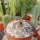 Euphorbia brunellii RM 183