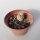 Turbinicarpus valdezianus     CITES, not outside EU