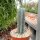 Trichocereus peruvianus cv. azureus