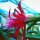 Epiphyllum-Hybr. Stuttgart Alien Medusa