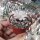 Ariocarpus kotschoubeyanus Las Tablas CITES, not outside EU