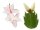 Schlumbergera-Hybr. Thor Livia