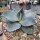 Agave parryi v. truncata cv. Ronde