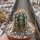 Echinocereus viridiflorus  ssp. chloranthus v. blumii DU 042
