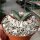 Agave titanota  cv. Black and  Blue