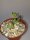 Adromischus filicaulis ssp. marlothii PLP 1279