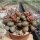 Adromischus marianiae cv. Little Spheroid Compact