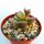 Adromischus montium-klinghardtii Aurus Mnts 08786