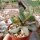 Adromischus triflorus aff. CR 1510
