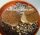 Lithops hallii SH 1353