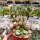 Adromischus montium-klinghardtii Aurus Mnts