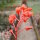 Aloe descoingsii cv. Widmaier   CITES, not outside EU