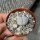 Lithops gracilidelineata ssp. gracilidelineata v. gracilidelineata C 385