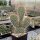 Opuntia hystricina cv. Cactusmania (dw)