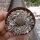 Lithops aucampiae ssp. aucampiae v. aucampiae  C 366
