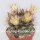 Mammillaria decipiens