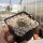 Escobaria missouriensis v. similis (dw)