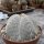 Astrophytum myriostigma XL