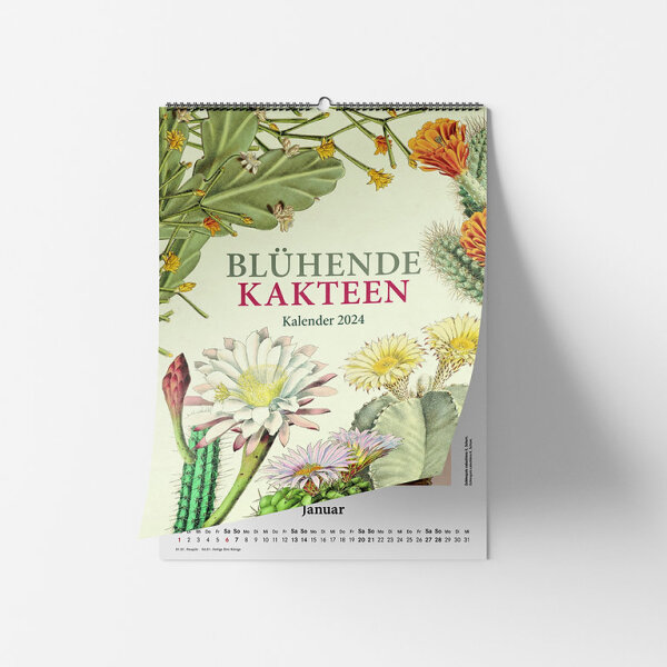 Blühende Kakteen - Wandkalender 2024