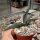 Agave victoriae-reginae v.ferdinandi-regis