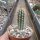 Pilosocereus gounellei ssp. zehntneri