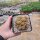 Sulcorebutia spec. Rie 17