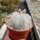 Astrophytum myriostigma