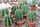 Astrophytum ornatum