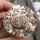 Lithops dorotheae