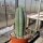 Trichocereus pachanoi  (20 Korn pro Tüte)