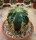 Ferocactus glaucescens