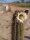 Trichocereus poco