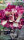 Adenium obesum-Hybr.  Genius 966