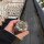 Lithops lesliei ssp. burchellii