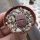 Lithops karasmontana v. lateritia