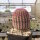 Echinocereus rigidissimus ssp. rubrispinus (dw)