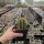 Trichocereus terscheckii (dw)