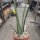 Sansevieria cylindrica
