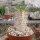 Pachypodium densiflorum-Hybr.