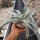 Dyckia marnier-lapostollii