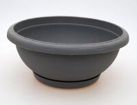 Schale Terrae in grau