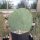 Opuntia engelmannii cv. Spineless (dw)