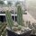 Chamaecereus cv. Alba (dw)