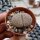 Lithops schwantesii Springbok Flats