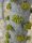 Croton socotranus