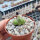 Conophytum chauvinae Klon 3 Houdkop