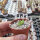 Conophytum blandum MG 1410.983