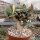 Euphorbia francoisii cv. Xiamen, CITES, not outside EU