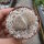 Lithops pseudotruncatella ssp. volkii