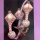 The genus Ceropegia - Dennis de Kock